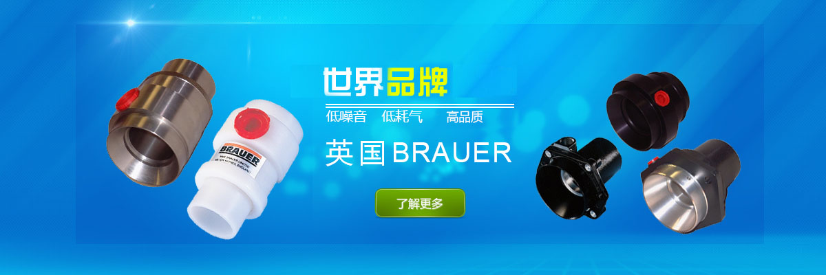 英國BRAUER